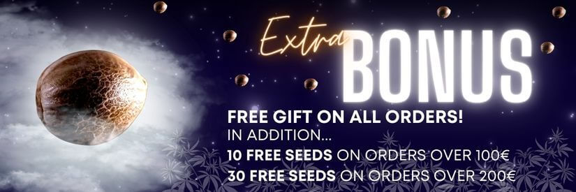 free-seeds-bulk-genetics