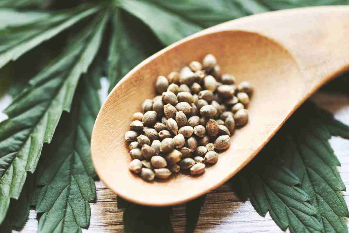 Massive Unterschiede